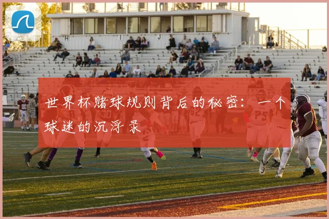 世界杯赌球规则背后的秘密：一个球迷的沉浮录