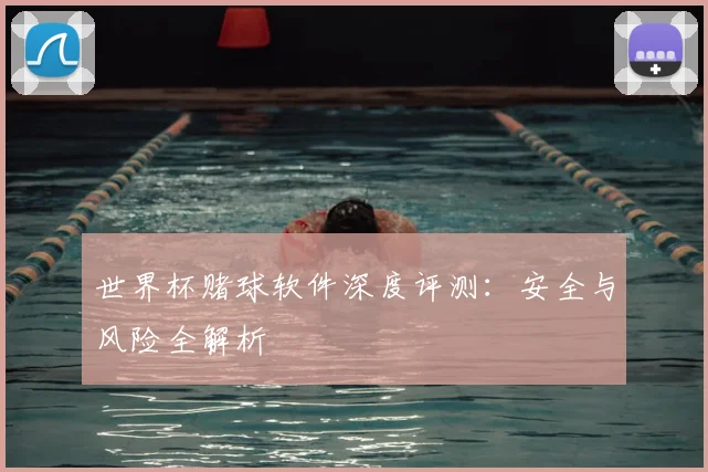 世界杯赌球软件深度评测：安全与风险全解析