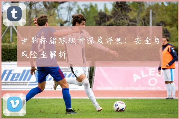 世界杯赌球软件深度评测：安全与风险全解析