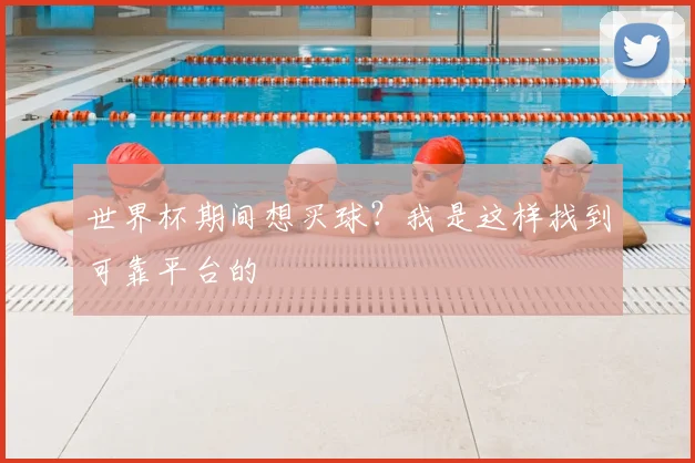 世界杯期间想买球?我是这样找到可靠平台的