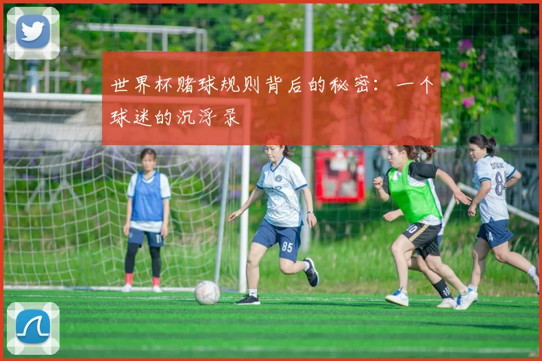 世界杯赌球规则背后的秘密：一个球迷的沉浮录