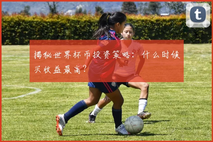 揭秘世界杯币投资策略：什么时候买收益最高？