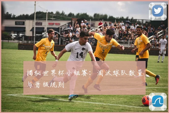 揭秘世界杯小组赛：淘汰球队数量与晋级规则