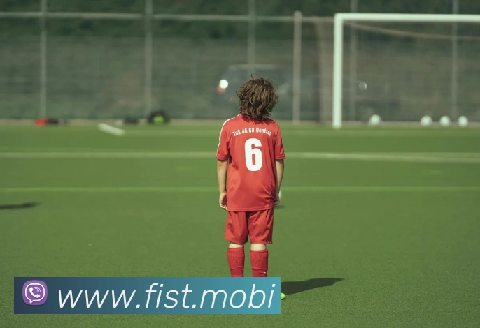 K1体育app官网平台生态图